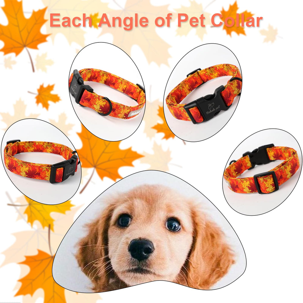 Diseños festivos de otoño en collar ligero y duradero Babole Pet.