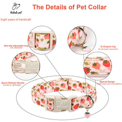 Babole Pet collar frambuesa grande cierre rápido y seguridad.