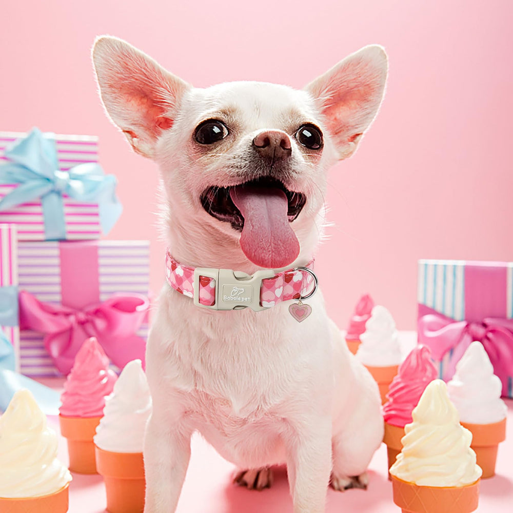 Babole Pet collar con hebilla de liberación rápida para quitar rápidamente