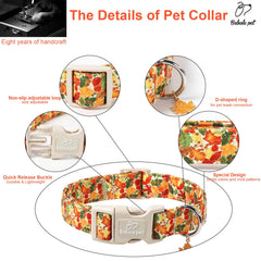 Collar Babole Pet con interior acolchado suave para mayor comodidad.