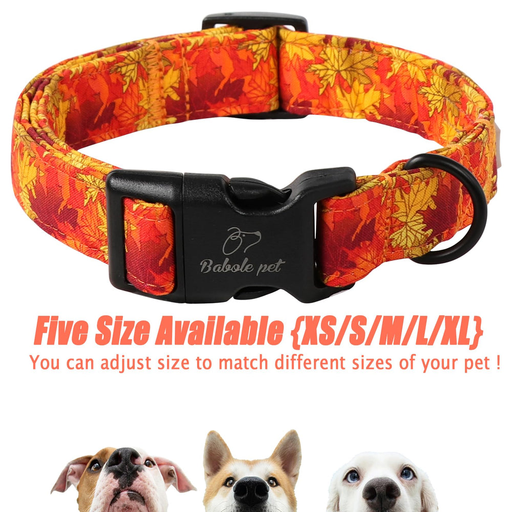 Collar Babole Pet, tallas disponibles para perros de diferentes tamaños.