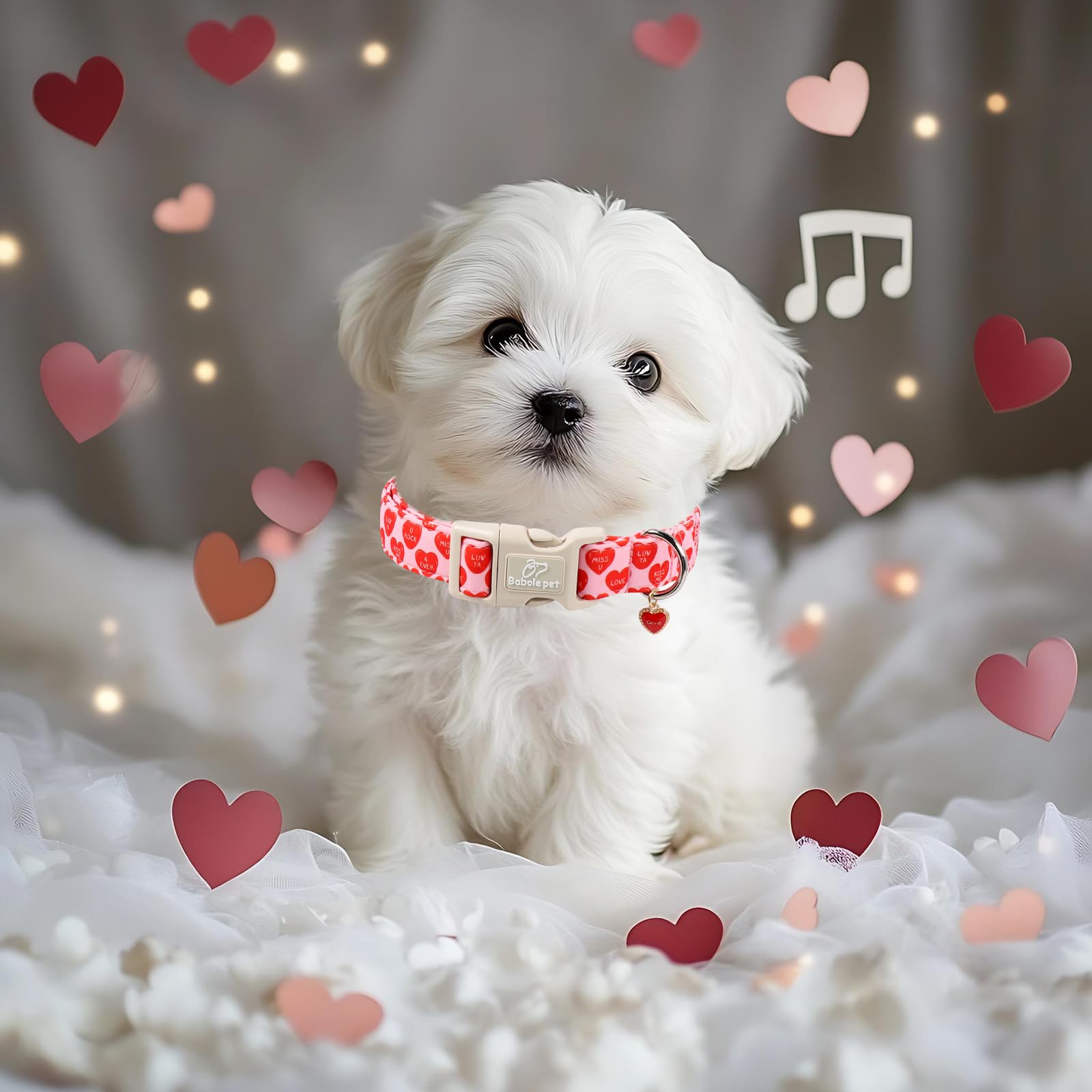 Regalo encantador de Babole Pet para amantes de perros en San Valentín.