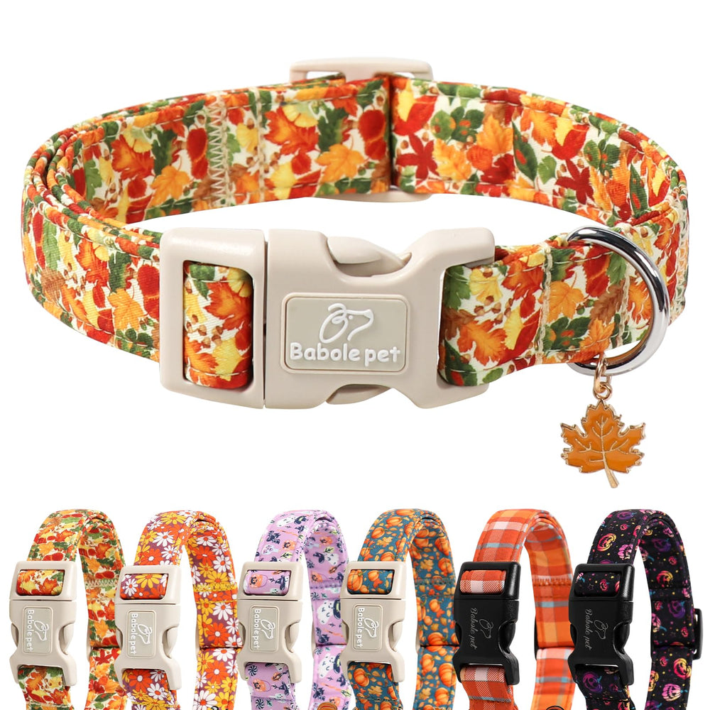 Collar Babole Pet para perros con hojas otoñales doradas, ideal para paseos festivos.