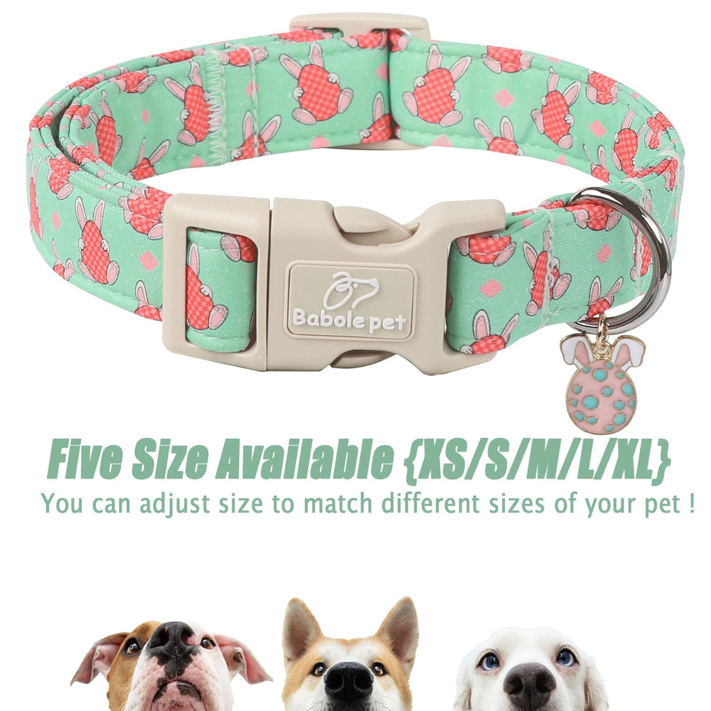 Regalo perfecto para dueños que aman a su perro.