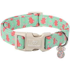 Collar Babole Pet para XS con cierre rápido, ideal para paseos.