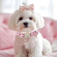 Collar Babole Pet para perros pequeños, ajuste suave y cómodo.