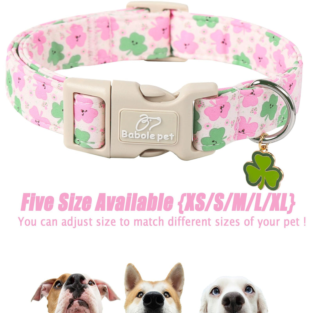 Babole Pet collar de diseño festivo para uso diario y paseos