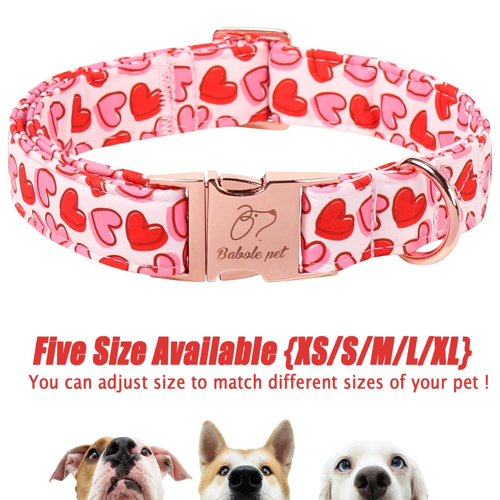 Collar Babole Pet, regalo perfecto para amantes de perros.