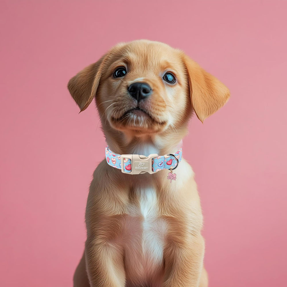 Regalo ideal para dueños de perros que adoran el valor sentimental.