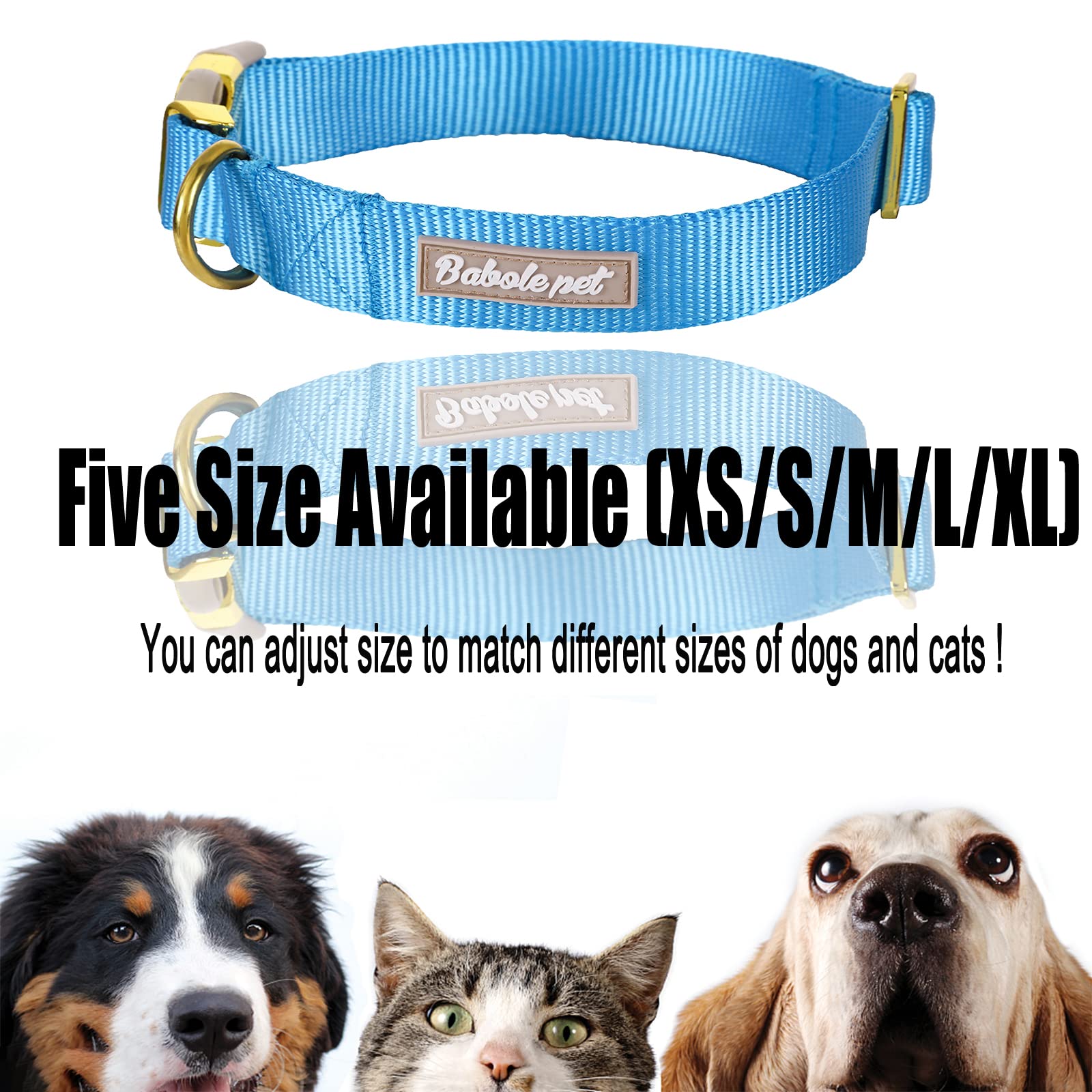 Babole Pet collar, regalo ideal para amantes de mascotas.