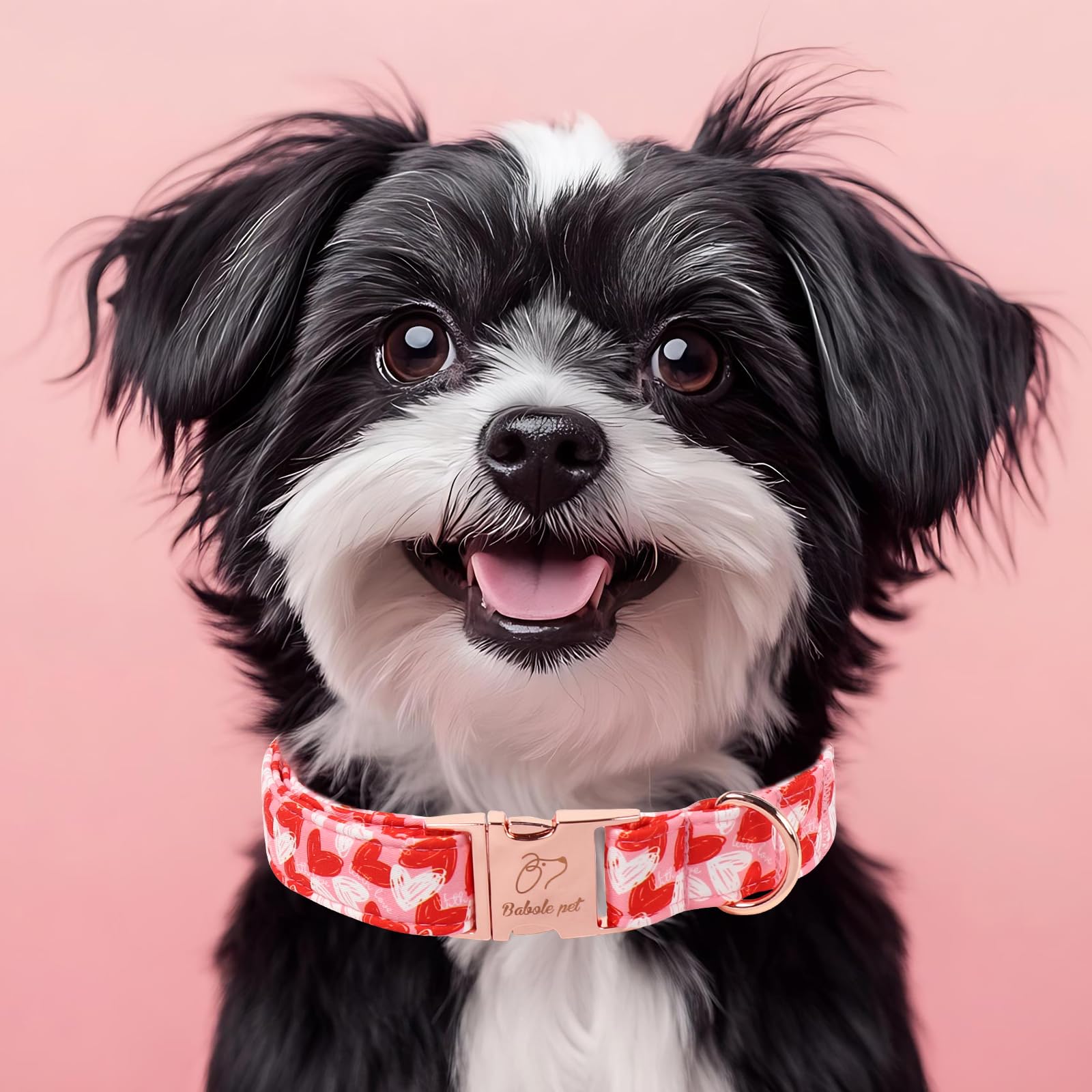 Babole Pet collar regalo San Valentín, ideas perfectas para amantes de perros.