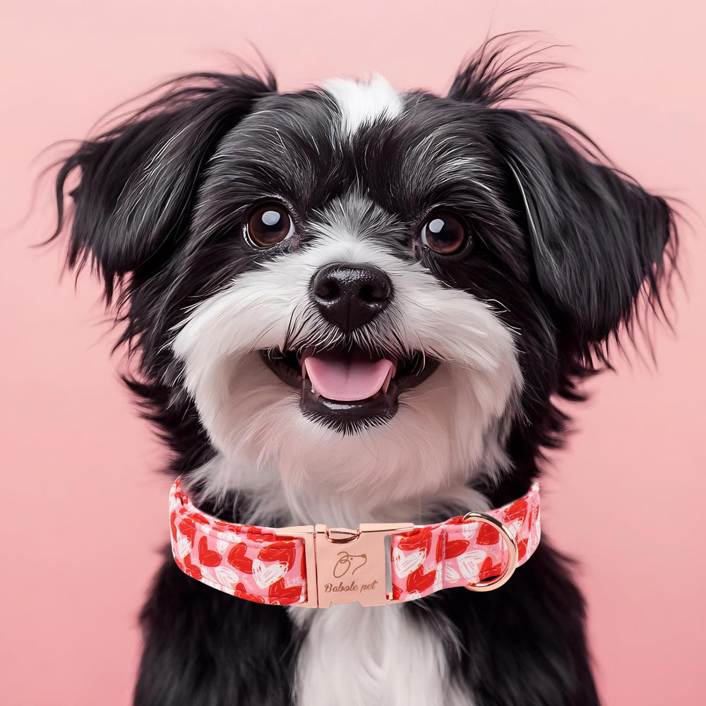 Babole Pet collar regalo San Valentín, ideas perfectas para amantes de perros.