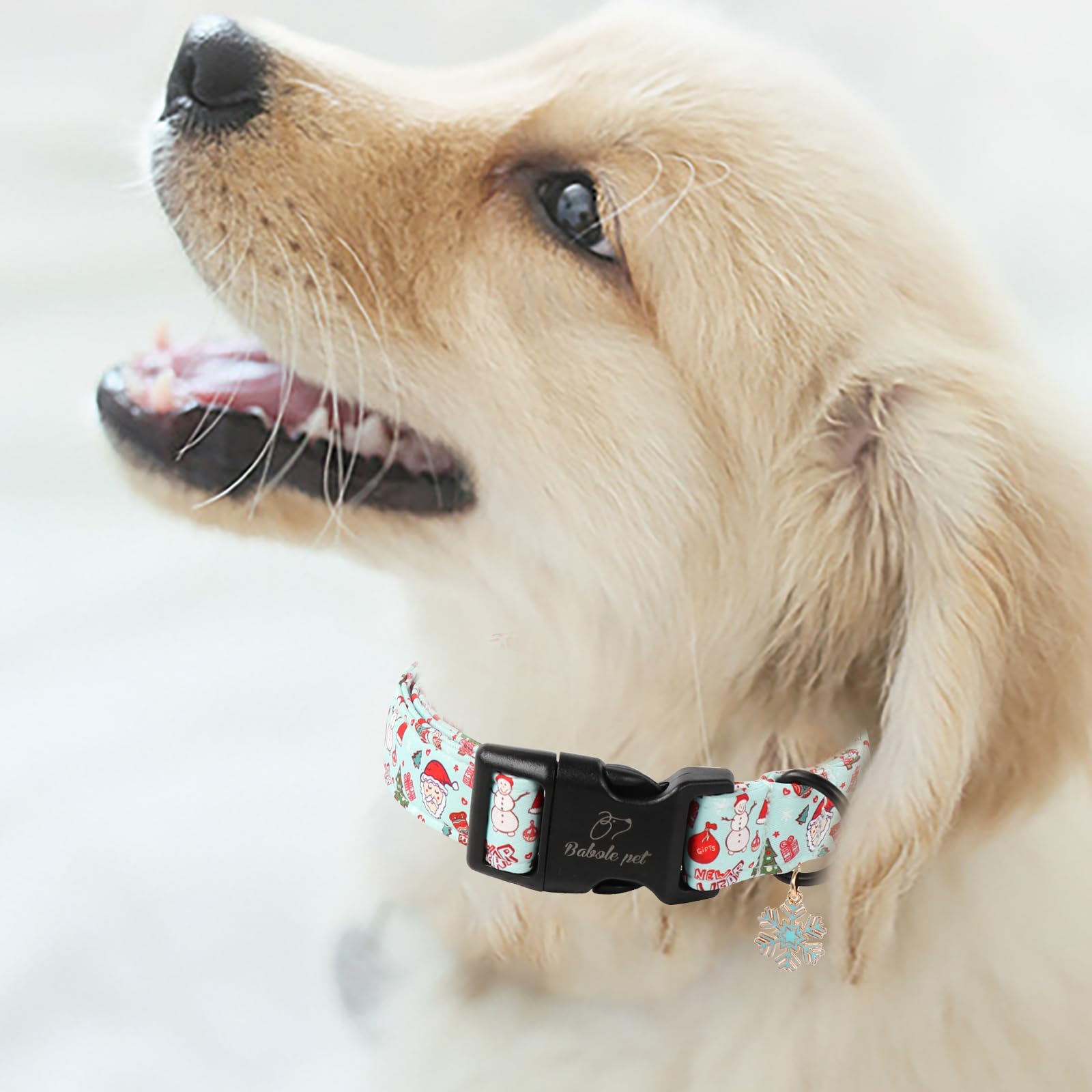 Babole Pet collar tacto suave, comodidad diaria para perros