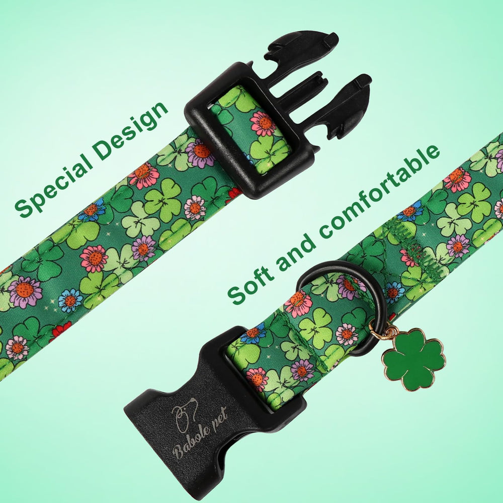 Collar Babole Pet talla XS para perro pequeño, ligero y duradero
