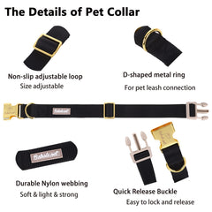 Collar Babole Pet con tallas ajustables para perros de diferentes tamaños