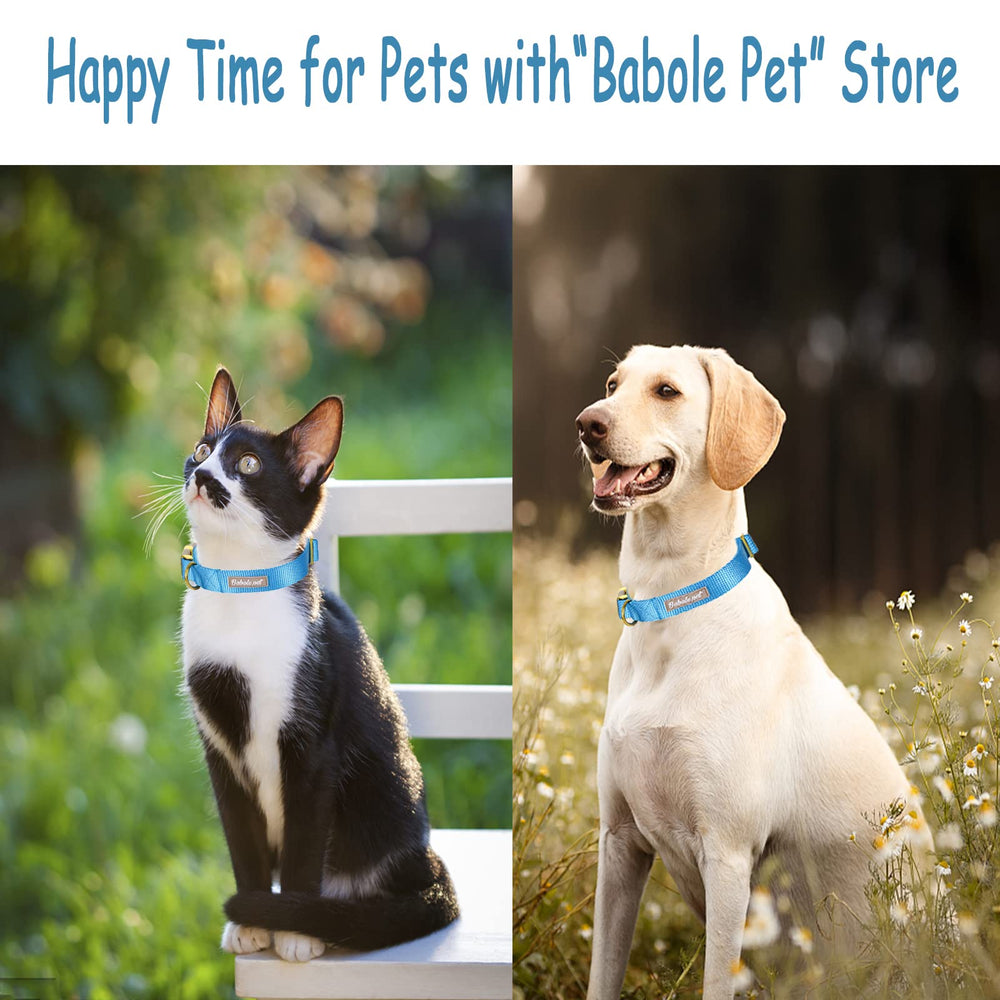 Babole Pet tallas XS a XL para perros pequeños y grandes.