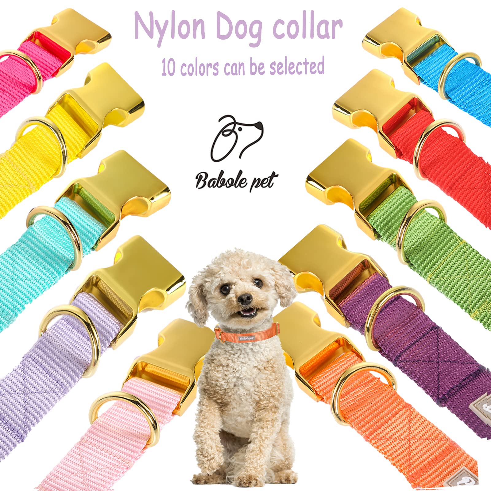 Collar Babole Pet disponible en varias tallas para perros de todos los tamaños.