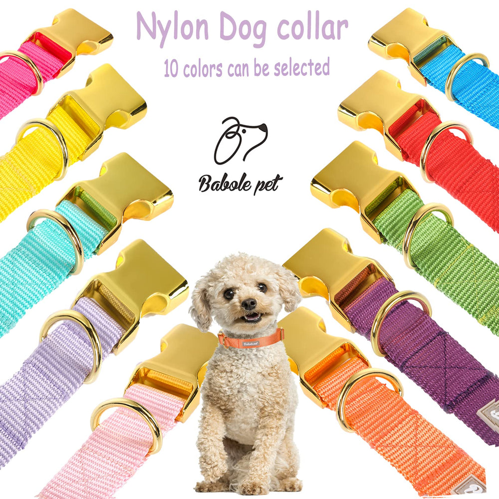 Collar Babole Pet disponible en varias tallas para perros de todos los tamaños.