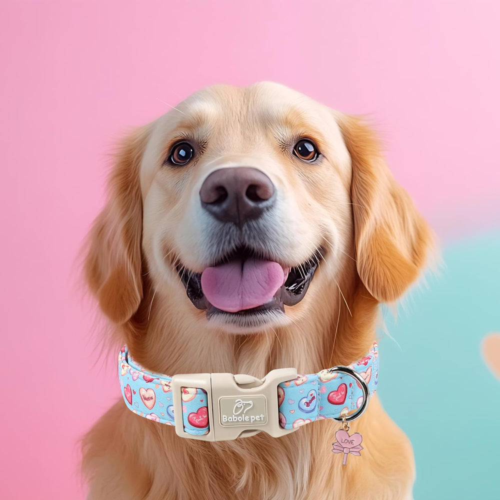 Tejido suave y azul del collar Babole Pet para comodidad diaria.