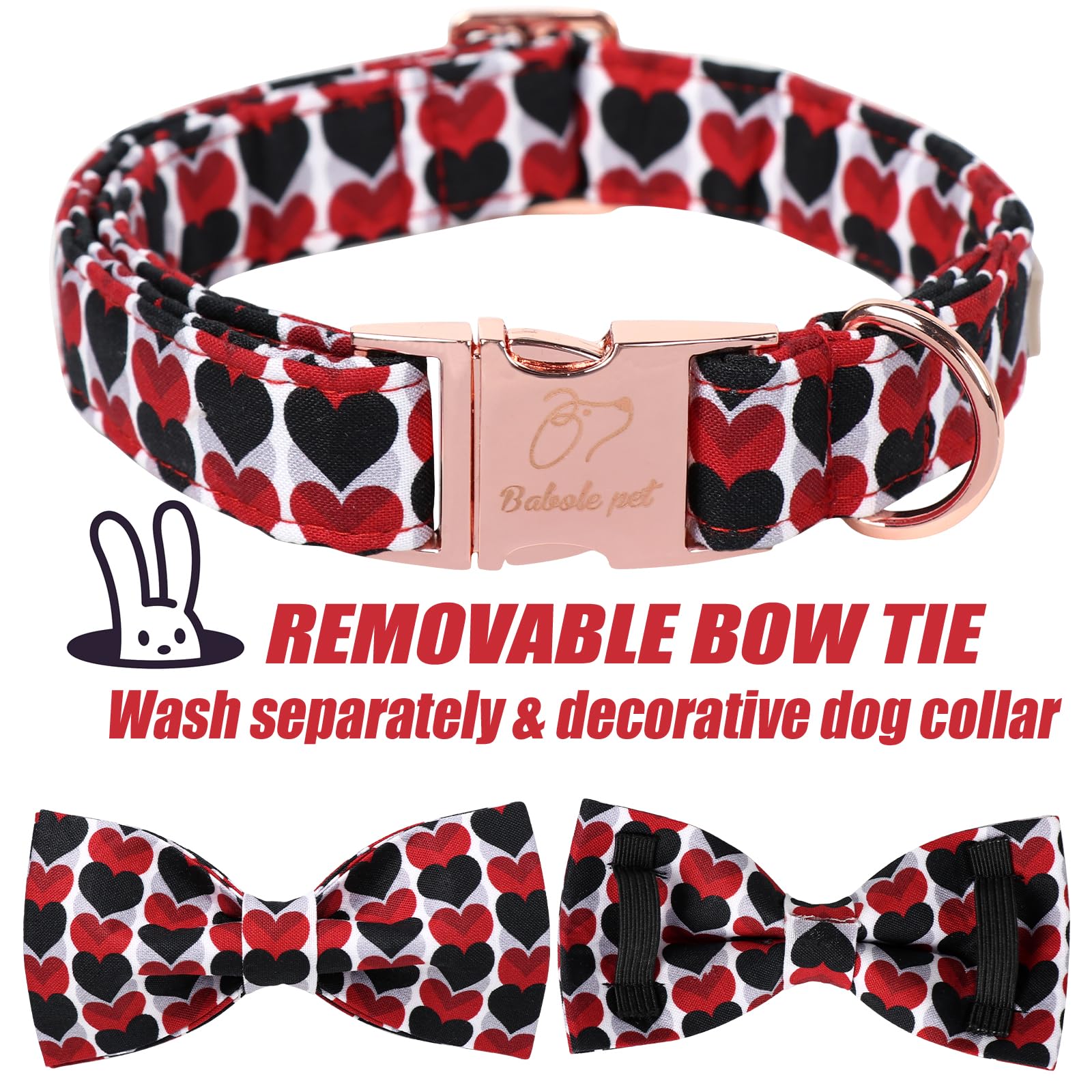 Uso diario con Babole Pet collar para paseos seguros.