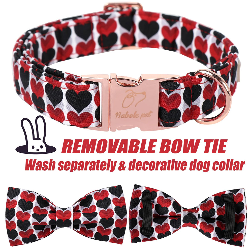 Uso diario con Babole Pet collar para paseos seguros.