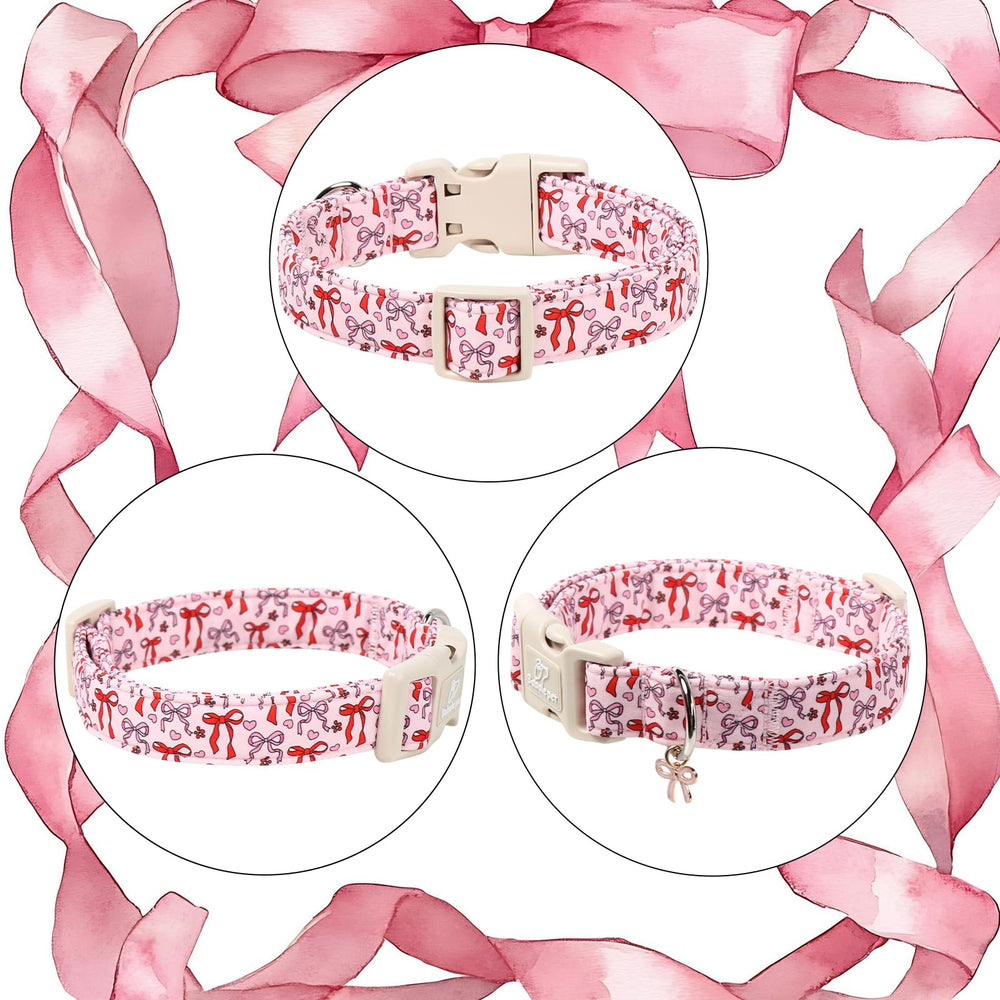 Collar Babole Pet para uso diario y paseos.