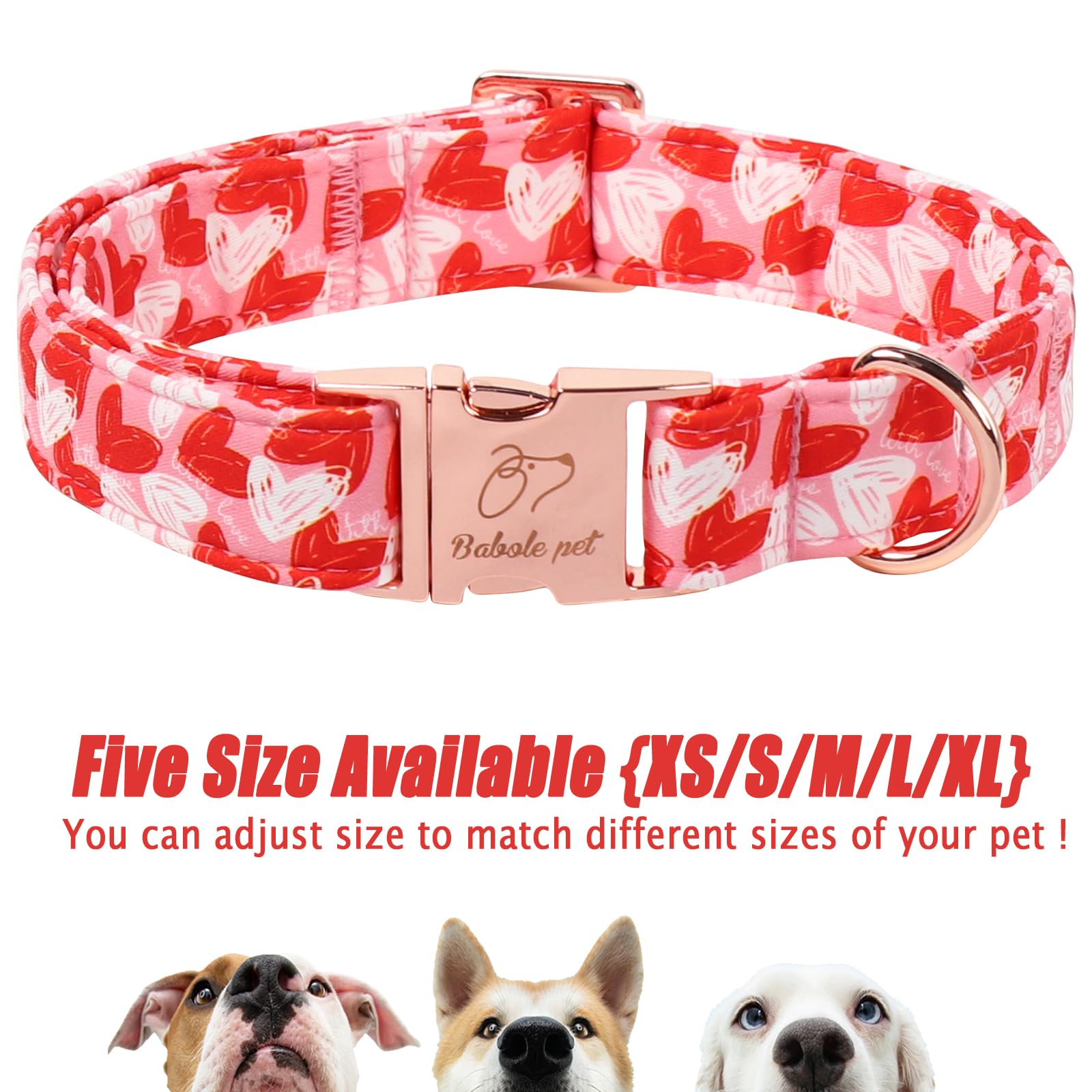 Babole Pet collar uso diario, suave y cómodo para el día a día.