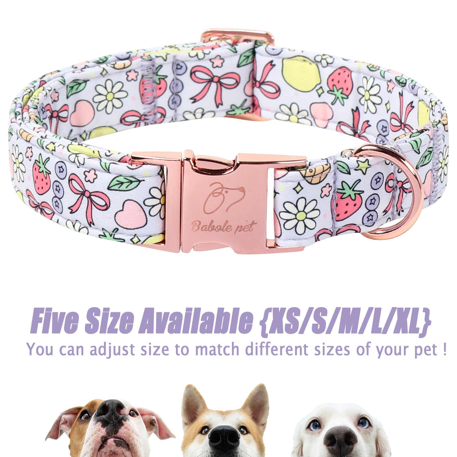 Collar Babole Pet uso exterior en dias soleados