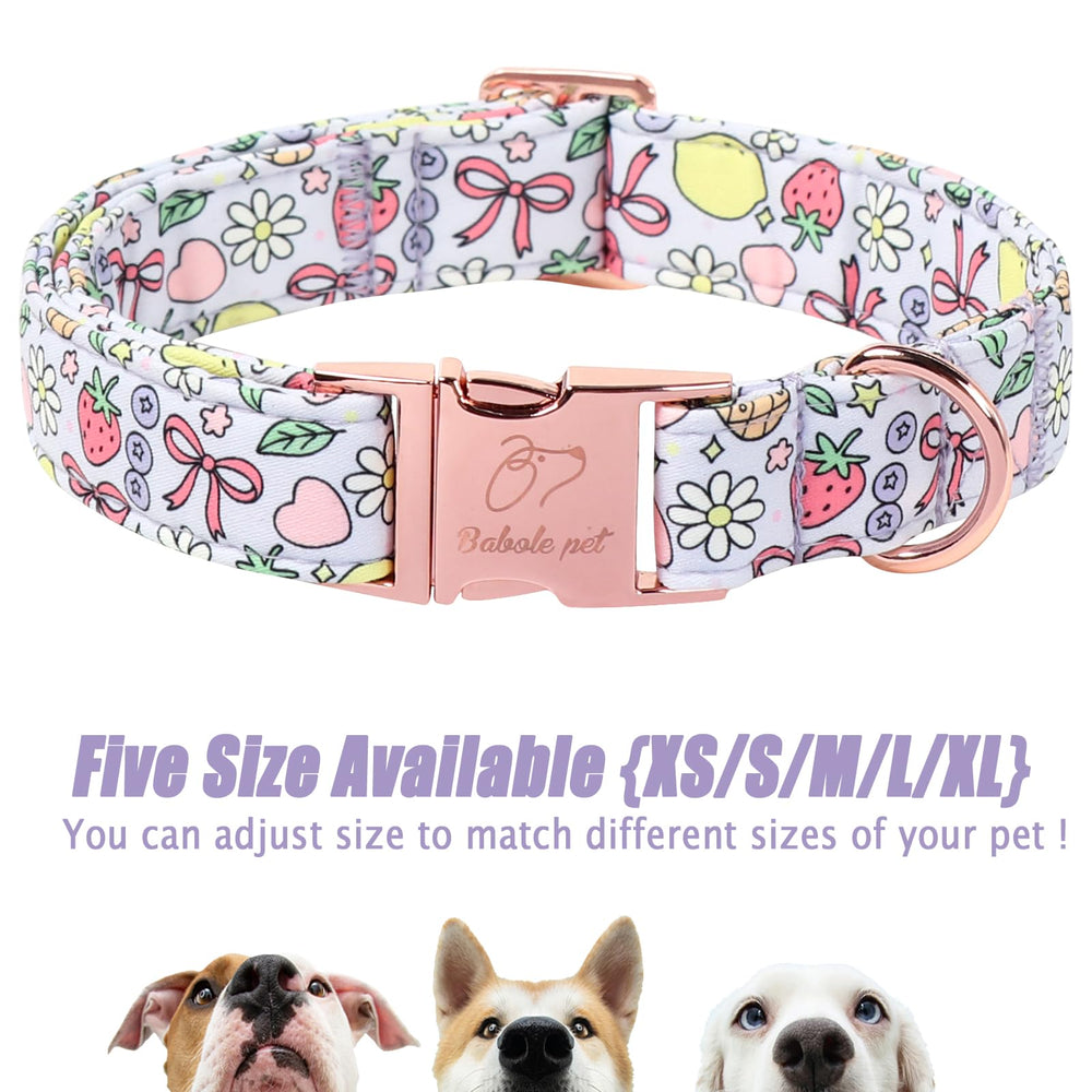Collar Babole Pet uso exterior en dias soleados