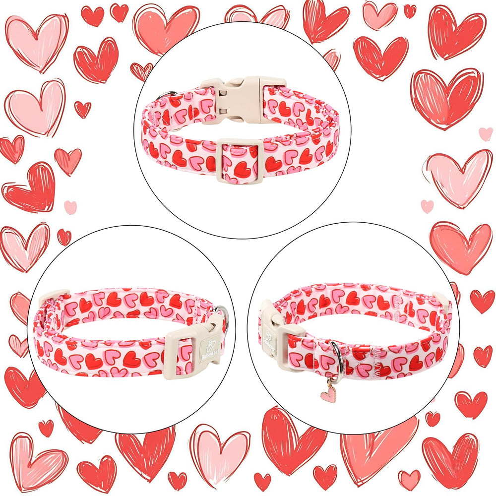 Collar Valentines Babole Pet para fotos y momentos especiales con tu mascota.