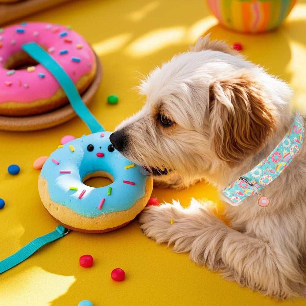 Collar Babole Pet mint con helado, ideal para paseos improvisados