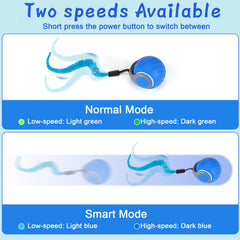 BABORUI bola-interactiva-gato-sonido-chirrido atrae curiosidad con sonido suave.