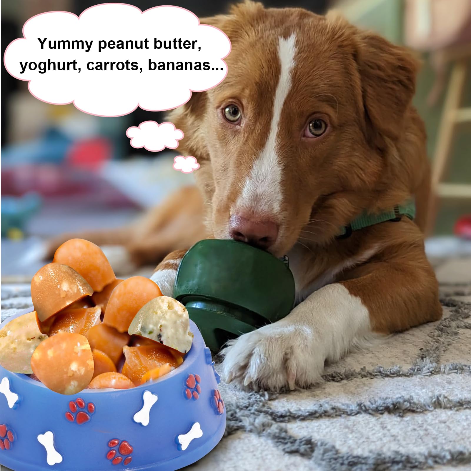 BABORUI paletas listas para servir a perros grandes.
