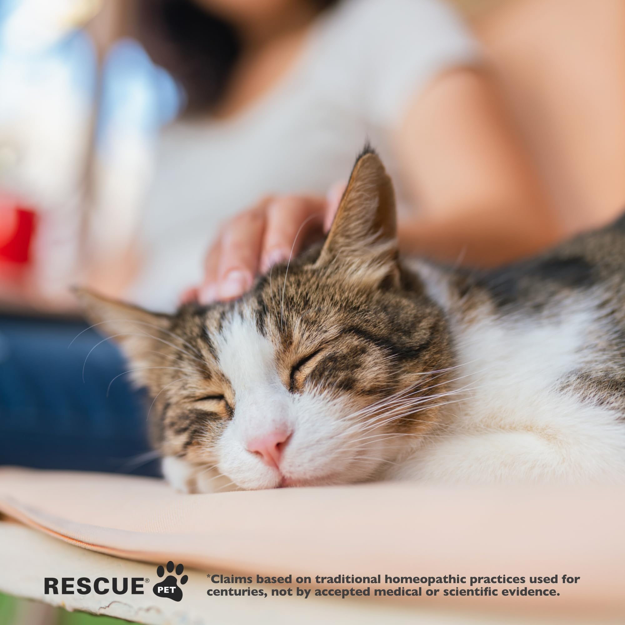 Apoyo emocional para gatos durante truenos o viajes con Rescue Remedy