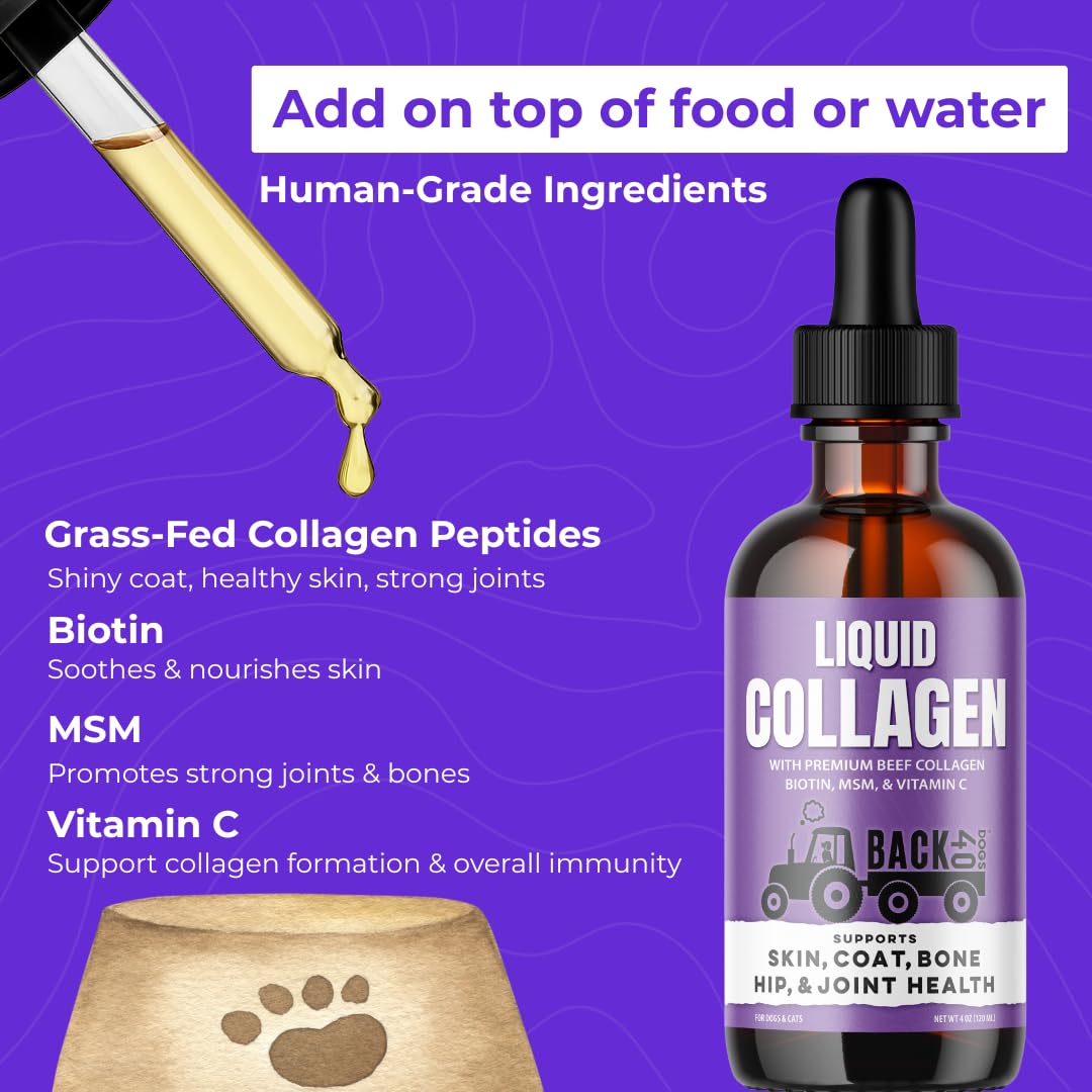 Back 40 Dogs Collagen: alivio de la piel y comodidad.