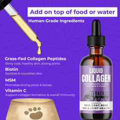 Back 40 Dogs Collagen: alivio de la piel y comodidad.