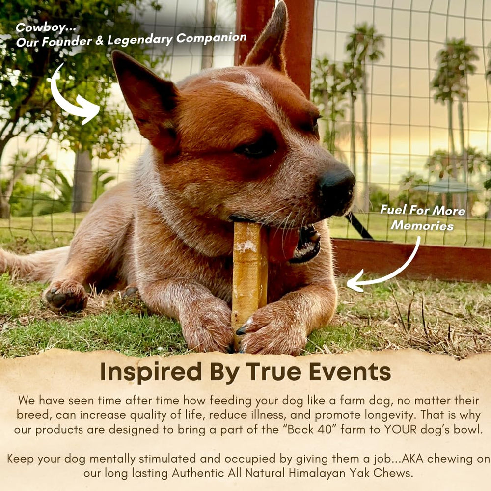Back 40 Dogs Yak Cheese Himalaya: origen Nepal, elaboración artesanal y ética