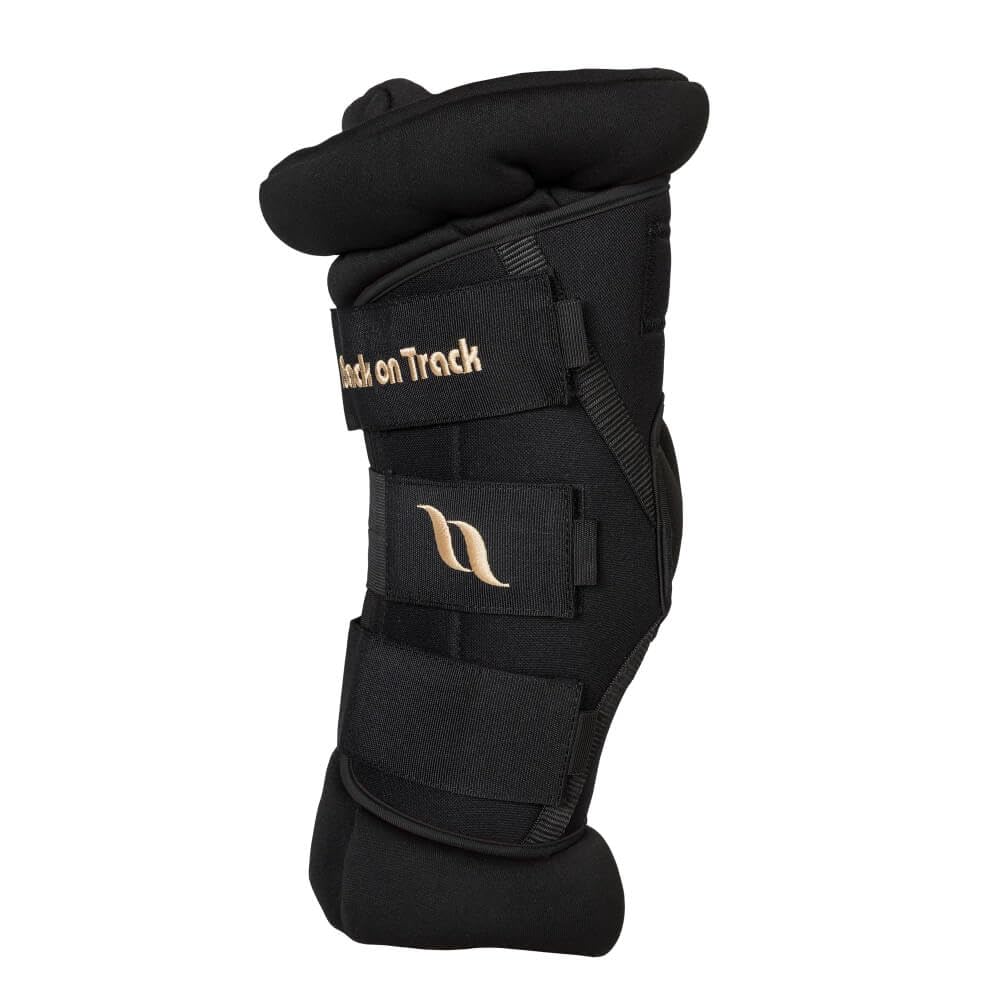 Botas de corvejón Back on Track Royal acolchadas para protección y confort.