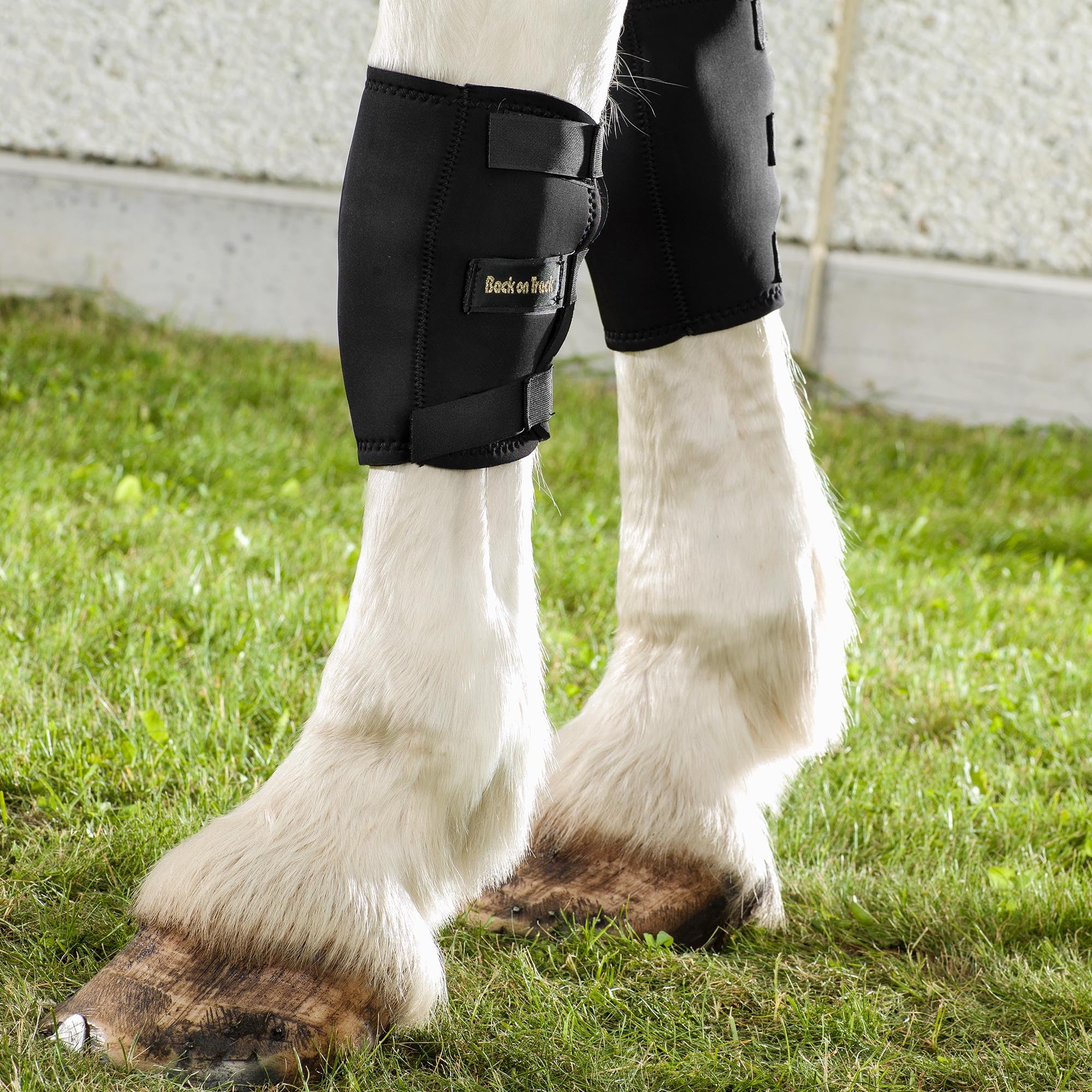 Botas de rodilla Back on Track con tejido infundido cerámico para confort térmico