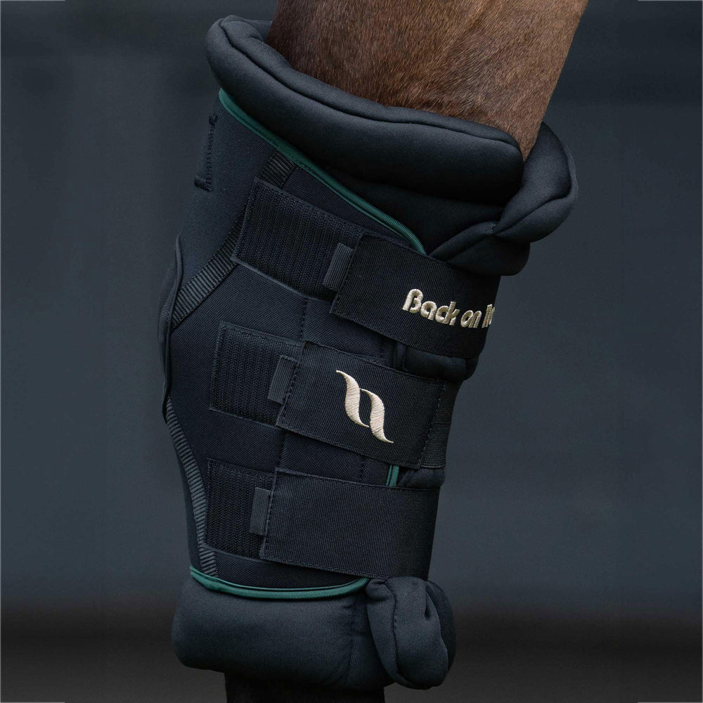 Back on Track Royal Hock Boots Deluxe, costuras reforzadas para soporte anatómico sin presión en tendones.