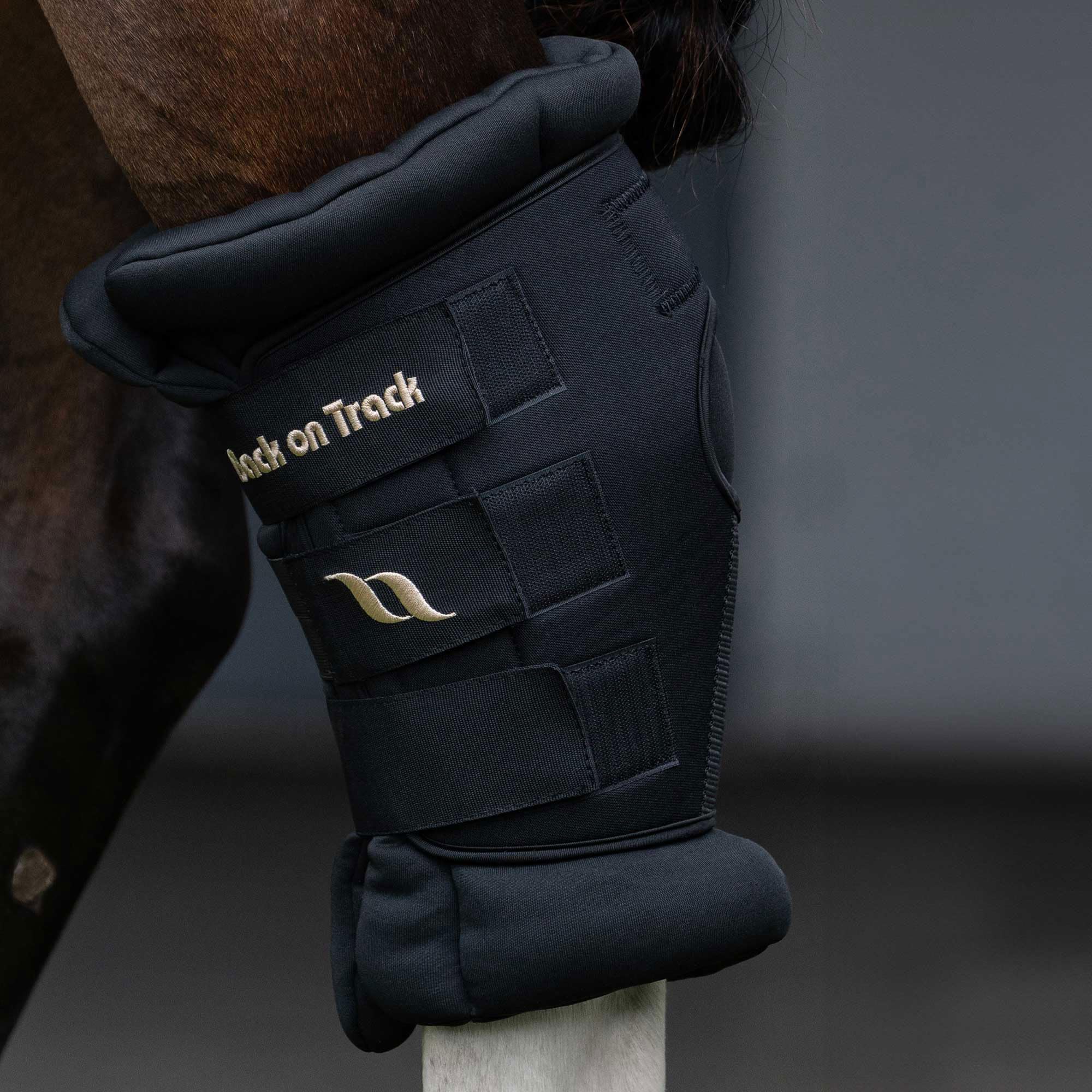 Back on Track Royal Hock Boots Deluxe, diseño anatómico con costuras reforzadas para ajuste.