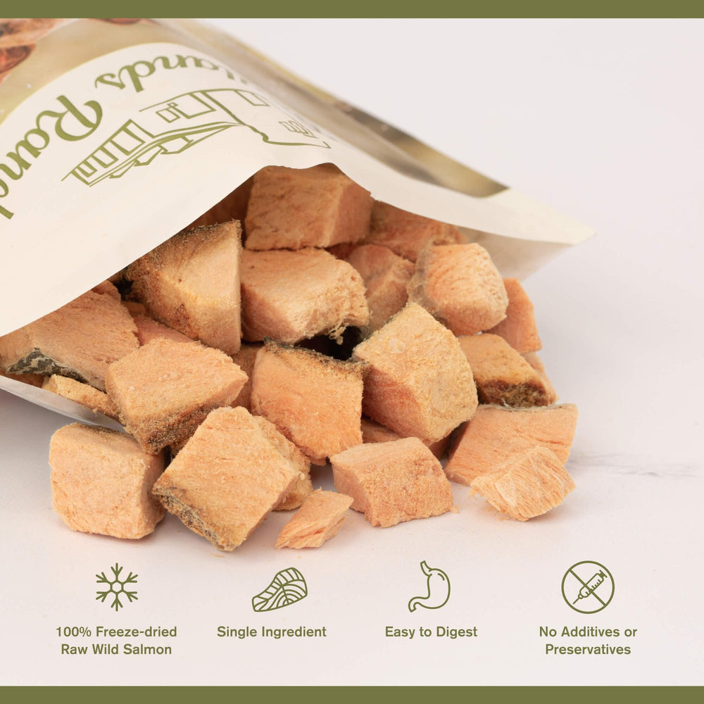 Badlands Ranch ingrediente único: salmón real para estómagos sensibles
