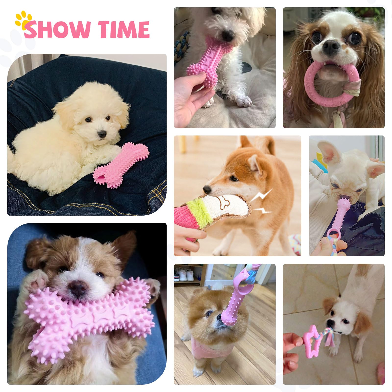 BAEJMJK set dentición seis piezas, variedad para cachorros en crecimiento.