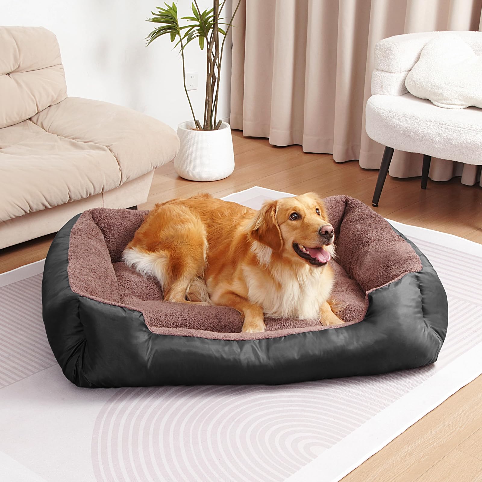 Cama BAILARY con funda lavable, mantenimiento sencillo.