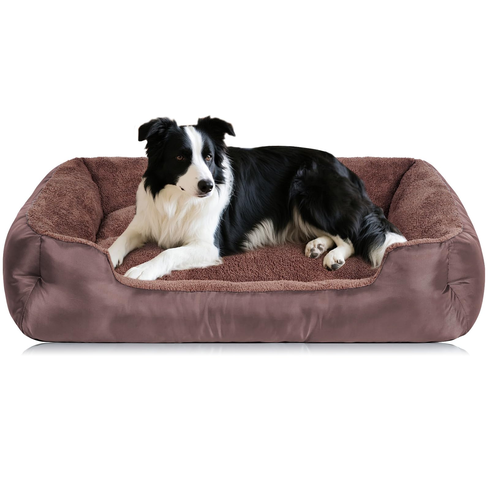 Cama bailary para perro mediano con bordes acolchados para seguridad y descanso.