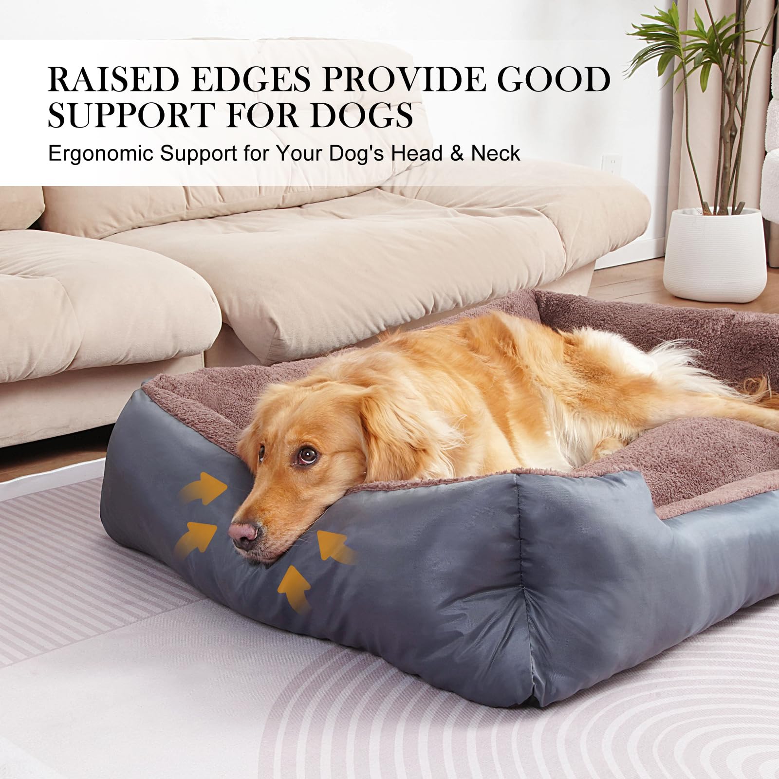 BAILARY cama para perro pequeño con bordes altos que abrazan cuello y cabeza.