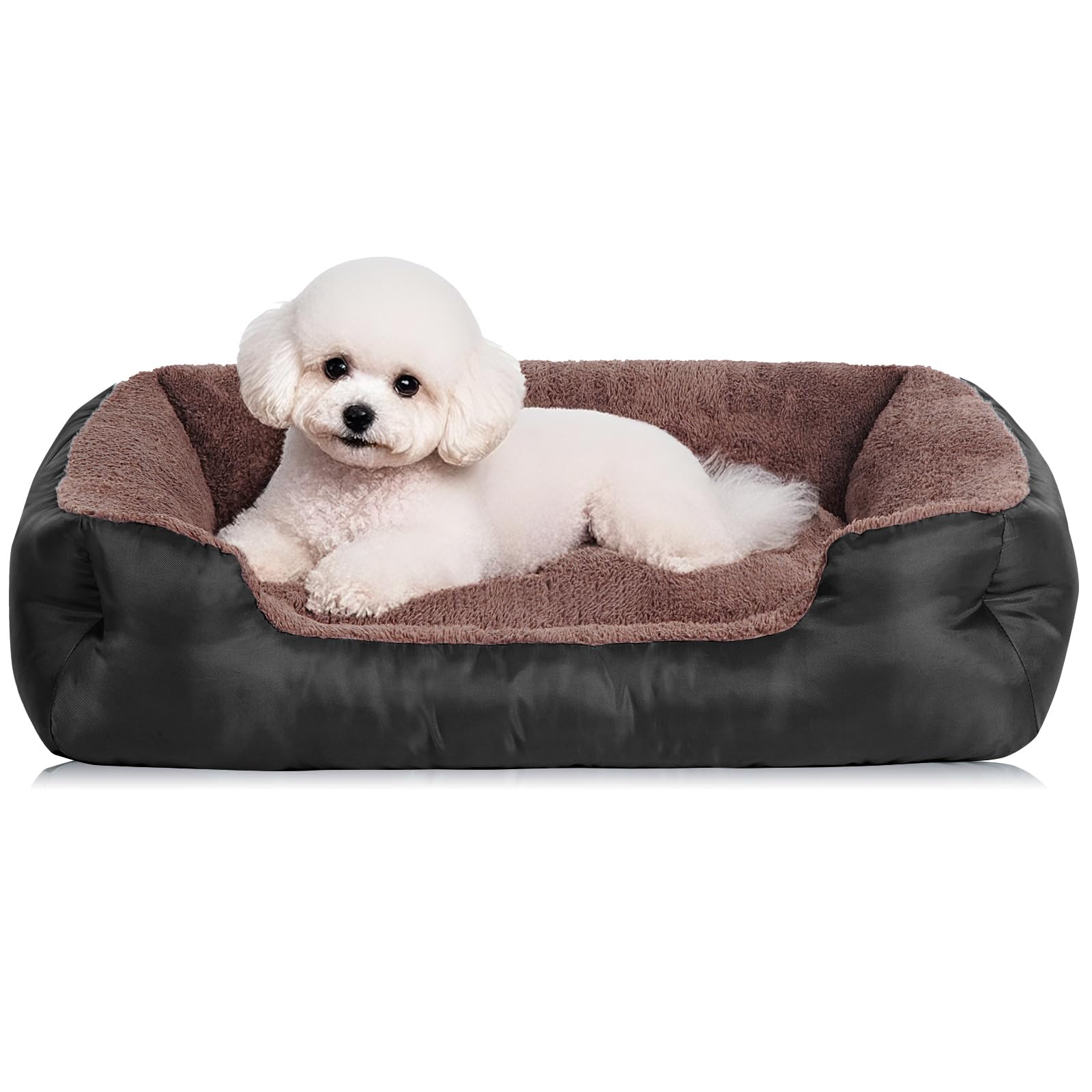 Cama BAILARY para perros pequeños con bordes, ofrece apoyo para cuello y seguridad.