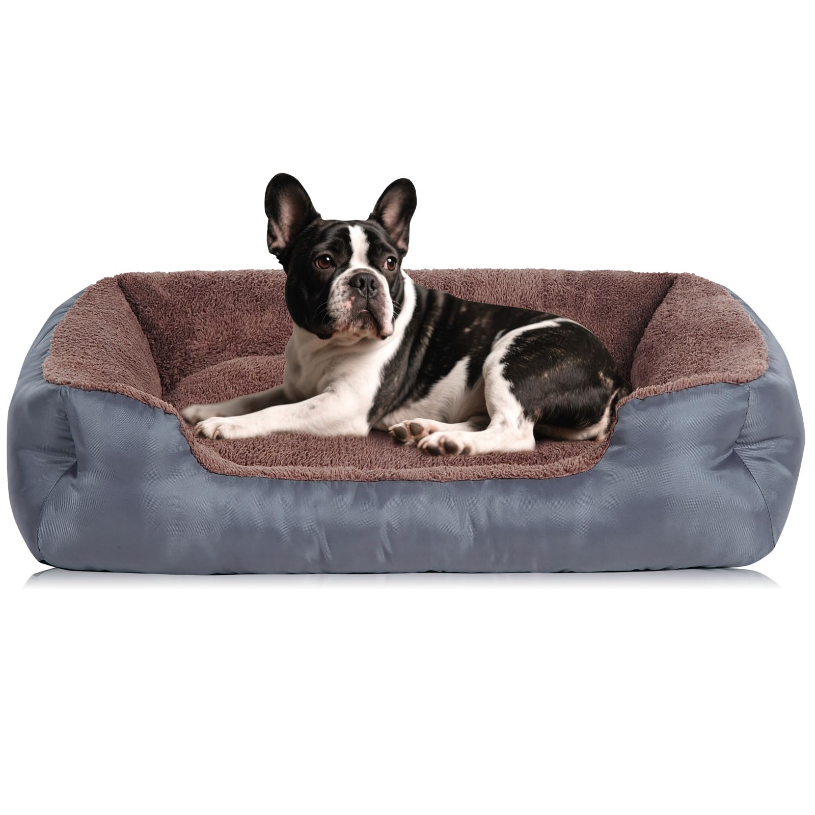 BAILARY cama para perro pequeño con felpa suave y borde de soporte para mayor comodidad.
