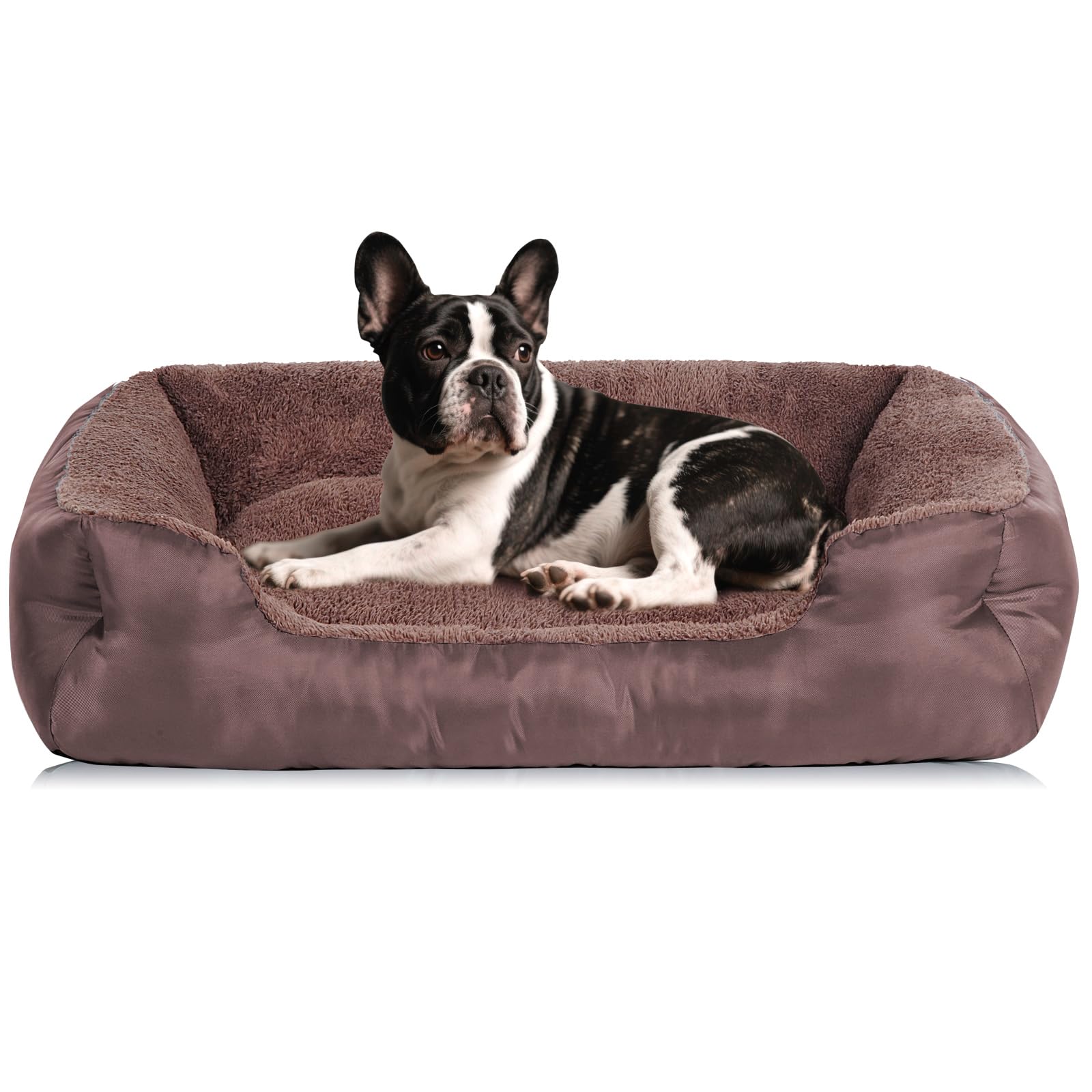 Cama Bailary para perro pequeño, rectangular y lavable.