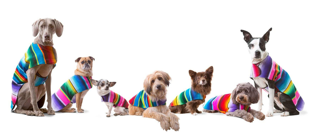 Baja Ponchos interior poliester mantiene al perro cómodo en días fríos.